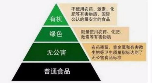 镜湖区绿色食品认证多少钱 爱帮咨询