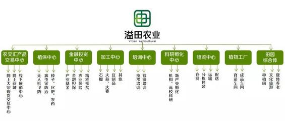 溢田农业 现代供应链管理与财务咨询双轮驱动的创新实践