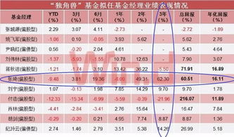 基金公司管理战略配售基金 投资管理能力的关键维度
